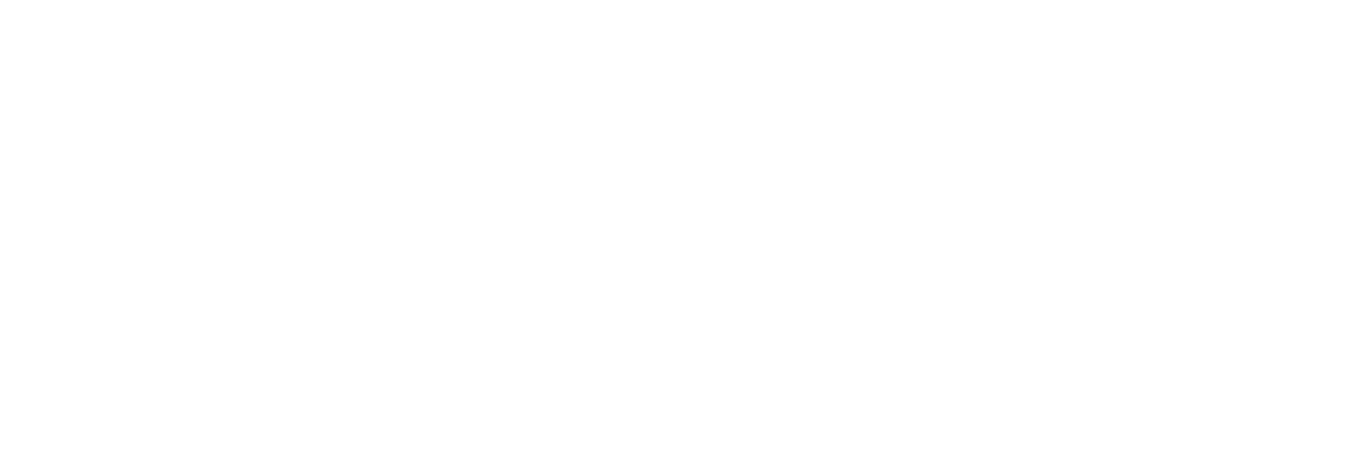 SKAN-Logo_weiss.png